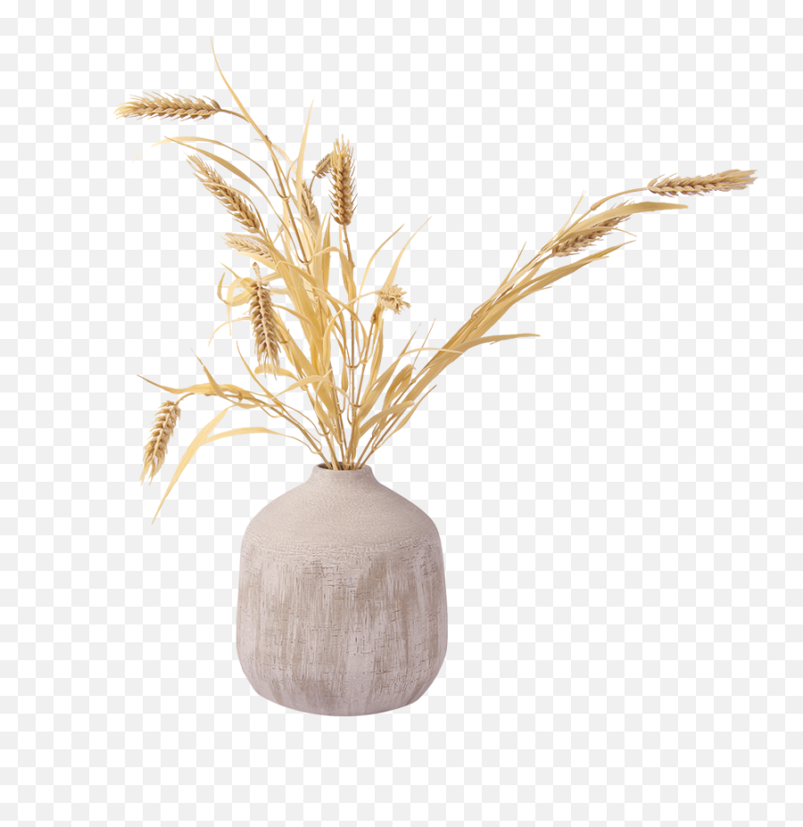Living Kuwait - Your Online Destination For Shopping Vase Png,Wheat Png