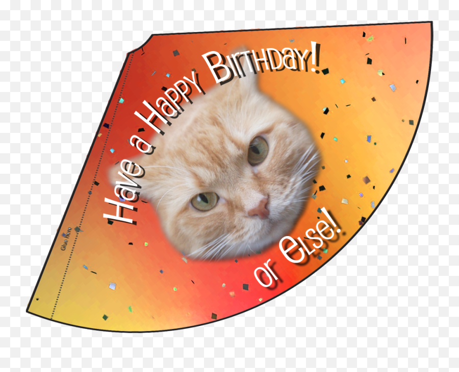 Birthday Month Celebration Lunaturd Cat - Chapeu Aniversario Para Gato Png,Happy Birthday Hat Png