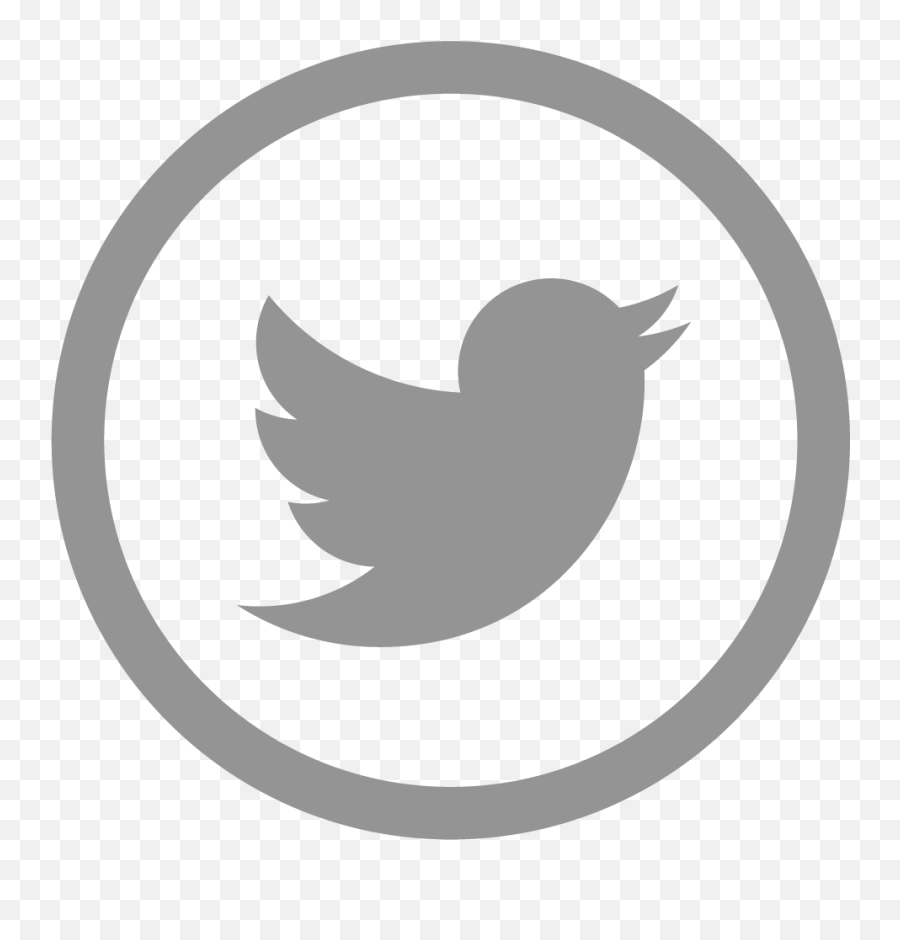 Transparent Grey Twitter Logo Png - Twitter Icon Small Png,Instagram Logo With Transparent Background