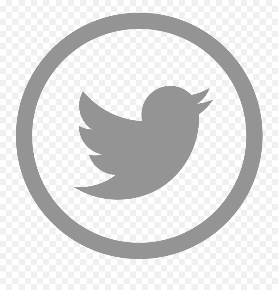 Transparent Grey Twitter Logo Png Twitter Icon Small Png Instagram Logo With Transparent Background Free Transparent Png Images Pngaaa Com