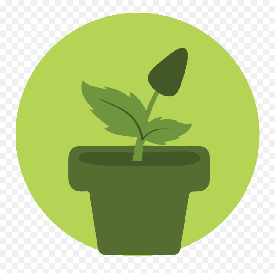 Seasonal Flowers Wolfe Landscaping - Plant Icon Circle Png,Plant Icon Png