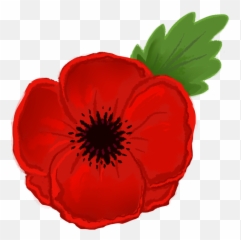 Free Poppy Flower Png Download - Remembrance Day Poppy Animated,Poppies Png