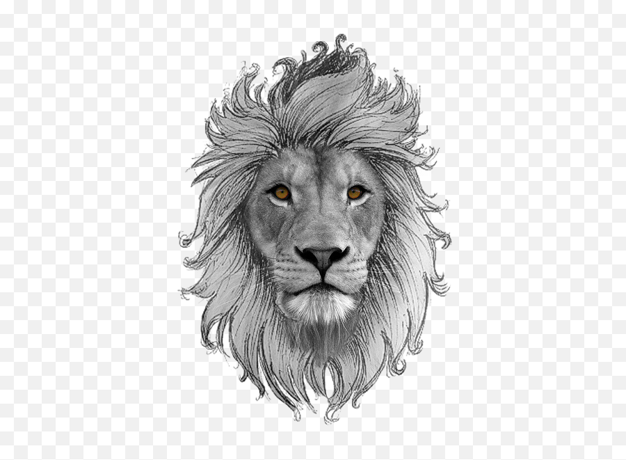 Leo Transparent Background Png Play - African Lion,Lion Head Transparent