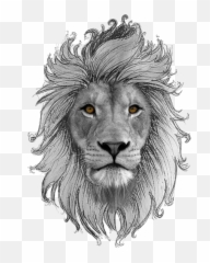 Leo Transparent Background Png Play - African Lion