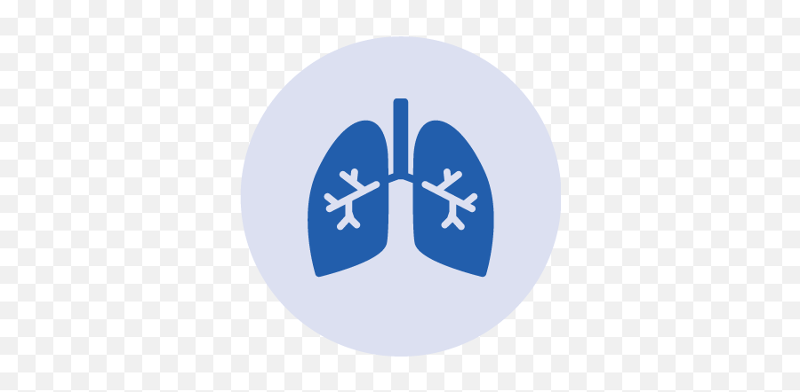 What Is Myelodysplasia Explained U2014 Icon - Journée Mondiale De L Asthme Png,Prognosis Icon