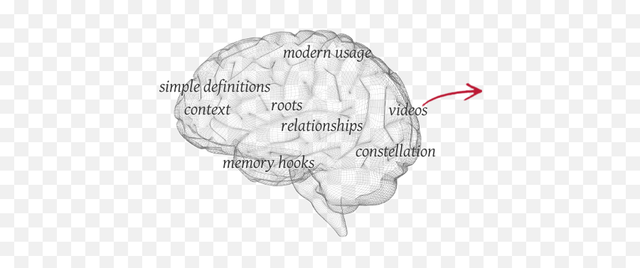 Comprehensive Engaging Vocabulary Building Membean - Word Web Brain Png,Moon Beem Icon