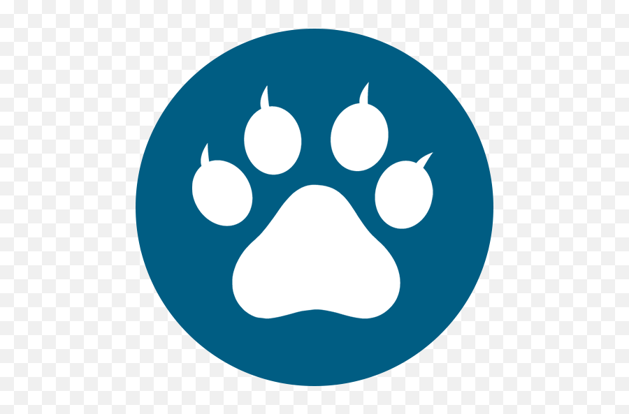 X - Ray Imaging Supply U0026 Service Calico Medical Inc Simbolo De Cat Noir Png,Wolf Paw Icon