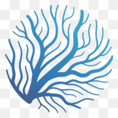 Ping - Circle png