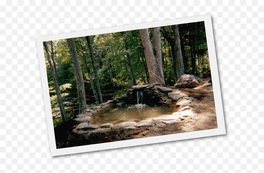 Download Adding Fish Ponds And Water Gardens New Hampshire - Pond Png,Pond Png