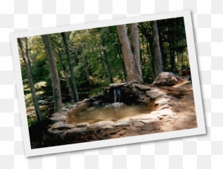 Download Adding Fish Ponds And Water Gardens New Hampshire - Pond Png,Pond Png