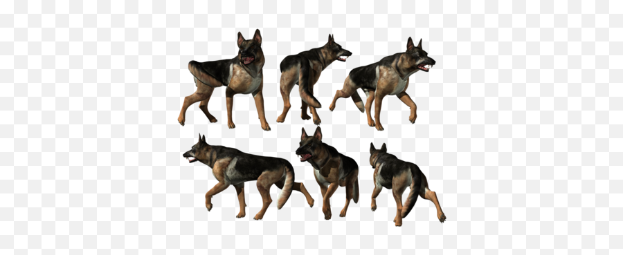 German Shepherddeguomuyangquande Guo Mu Yang - German Shepherd Png,Teamspeak Icon Slooth