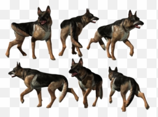 German Shepherddeguomuyangquande - png