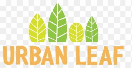 Urban Leaf Png