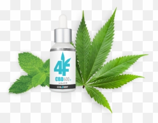 Buy 4f Wellness Cbd Oil 600mg - Weed png