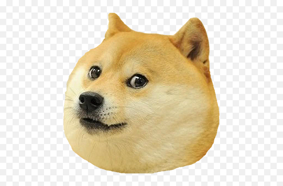 Download Dog Head Png - Meme Dog,Dog Head Png