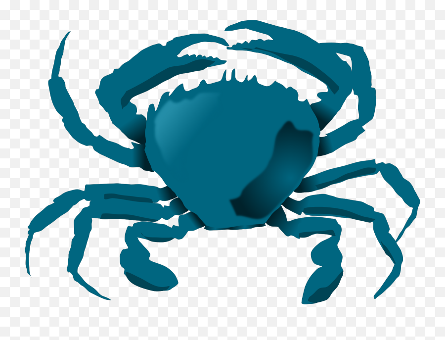 Download Free Png Blue Crab - Clipart Blue Crab,Crabs Png