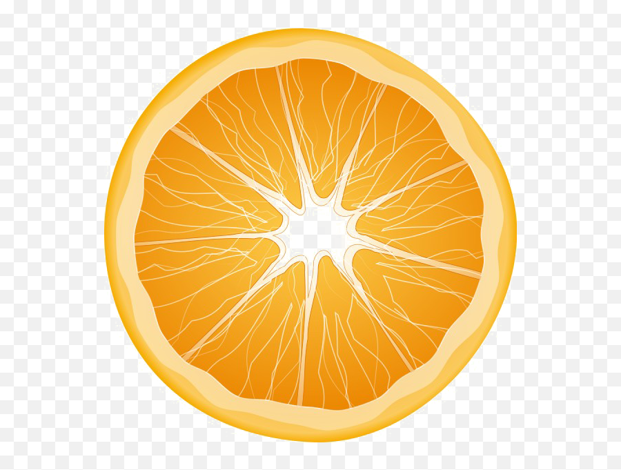 Half Orange Transparent Background - Orange Slice Png,Orange Transparent Background