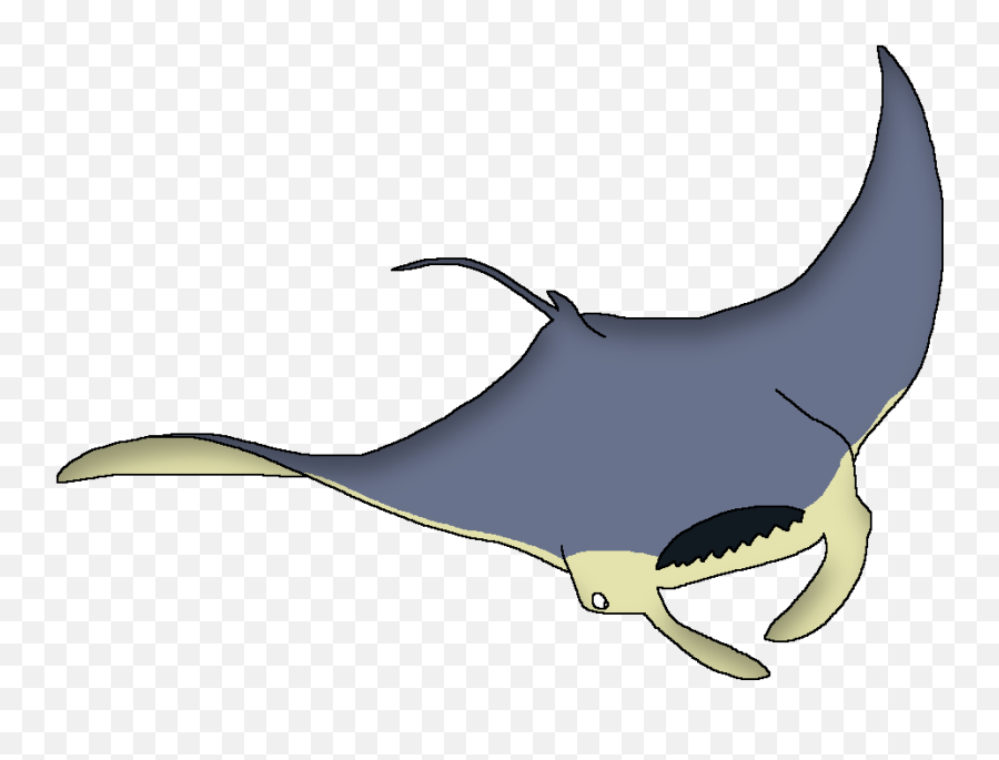 Giant Oceanic Manta Ray - Wildlife Animal Pedia Shark Png,Manta Ray Png