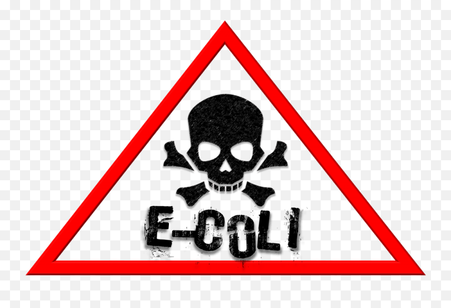 Download The Beginners Guide To Cold Smoking - E Coli Sign List 5 Dangers Your Community Might Be Faced With If Contaminated Food Is Not Disposed Of Correctly Png,Smoke Clipart Png