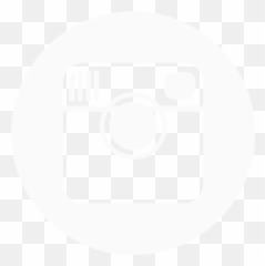 Instagram 4 Icon - Transparent Background Free Logo Png