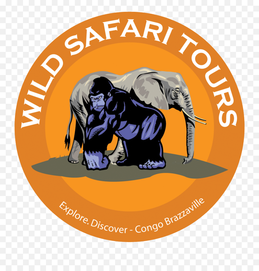 Wild Safari Tours - Wild Safari Tours Brazzaville Png,Safari Logo