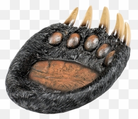 Bear Paw Candy Dish - Decorative Resin 7 X 35 X 95 Inch Solid Png,Bear Paw Png