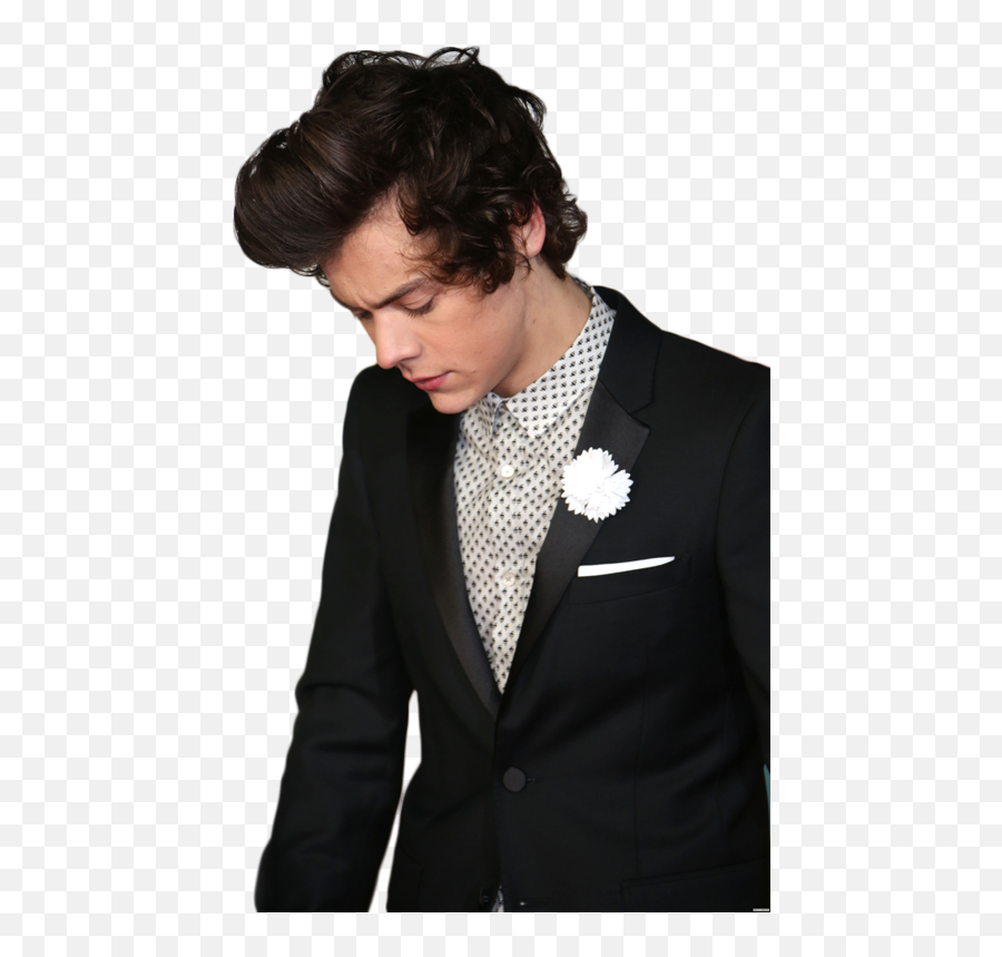 Harry Styles Png - Harry Styles In A Black Suit,Harry Styles Png