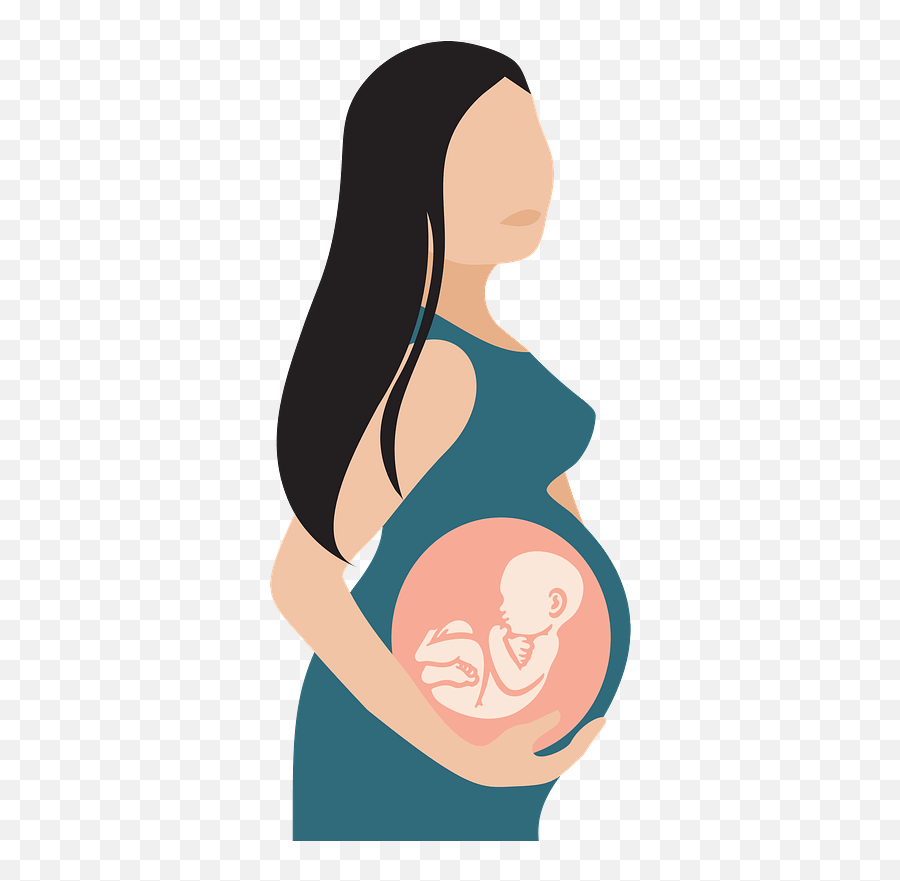 Pregnant Woman Clipart Free Download Transparent Png - Transparent Pregnant Woman Clipart,Pregnant Woman Png