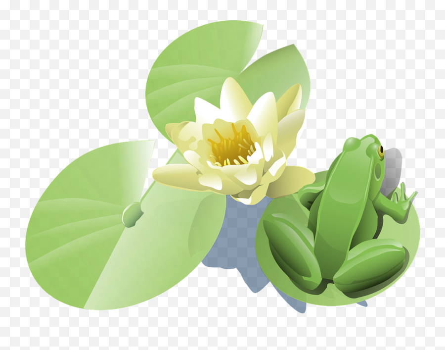 Lily Pad Frog - Princess And The Frog Stickers Png,Lily Pad Png