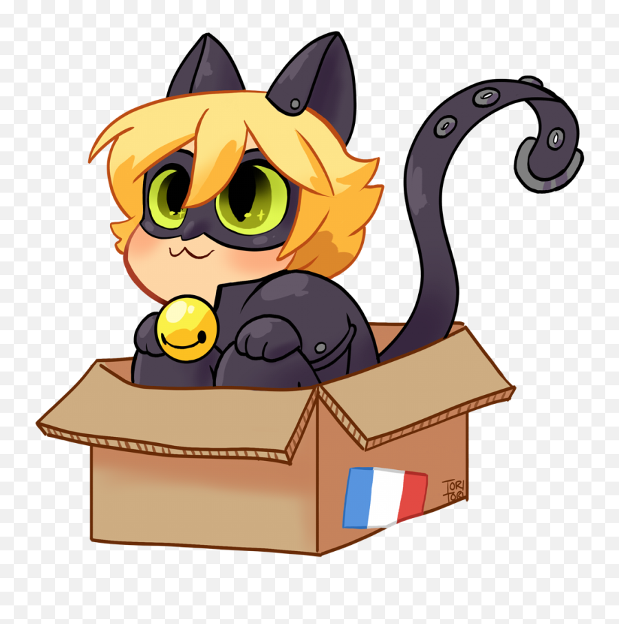 Toriitorii U201chave A Transparent Cat In Box I Also - Cute Ladybug And Cat Noir Png,Miraculous Ladybug Transparent