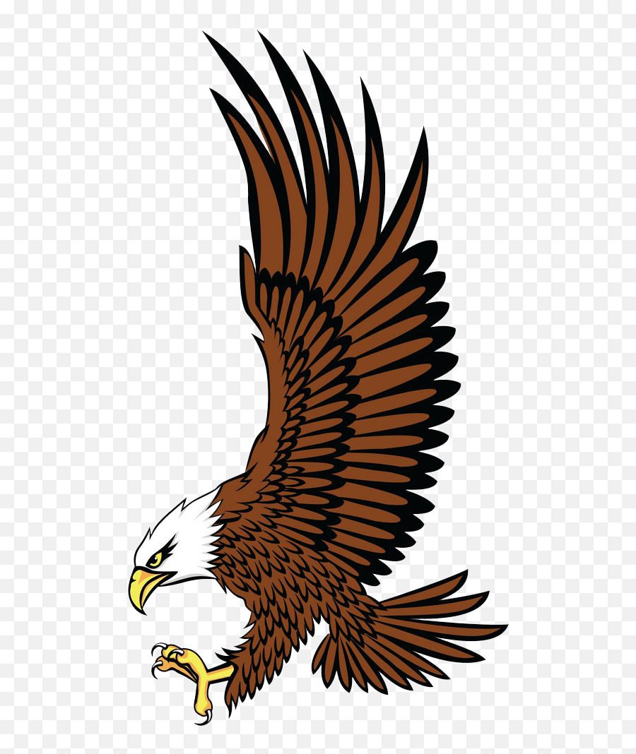 Bald Eagle Clipart Transparent - Bald Eagle Png,Eagle Clipart Png