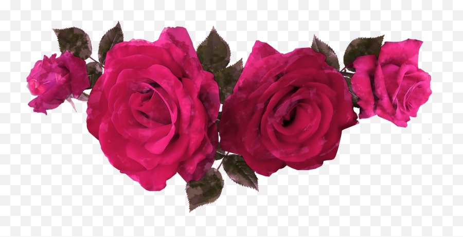 Watercolor Rose Flowers Transparent Png - Lovely,Watercolor Rose Png