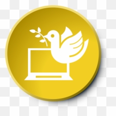 International Montessori Training Institute Png Webinar Icon