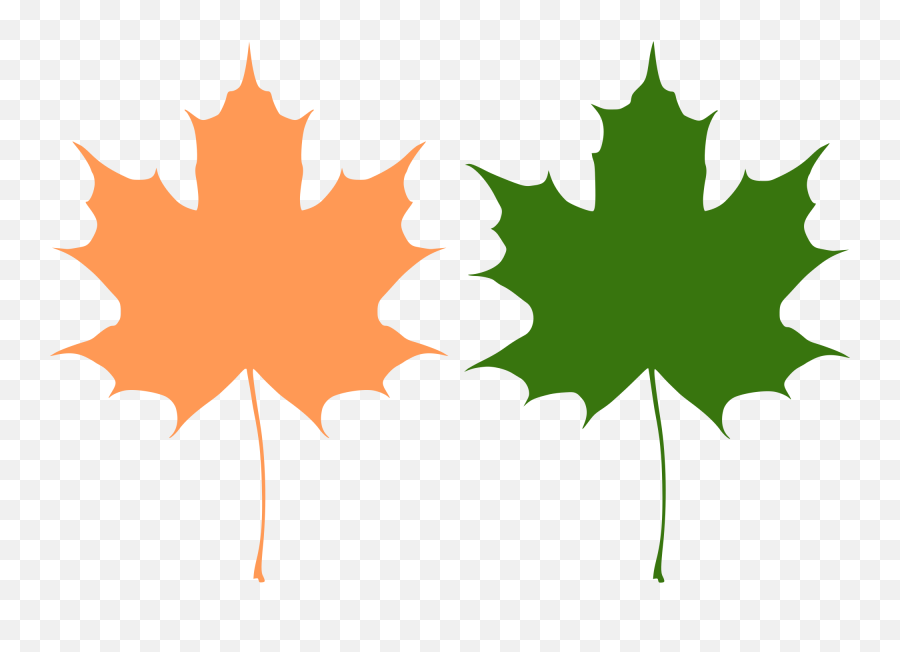 Orange And Green Maple Leaves Vector Drawing Free Svg - Maple Leaf Free Vector Png,Canada Maple Leaf Png