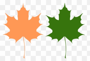 Orange And Green Maple Leaves Vector Drawing Free Svg - Maple Leaf Free Vector Png,Canada Maple Leaf Png