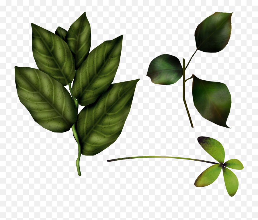 Green Leaves Png Image - Baby Winnie The Pooh 2949x2382 Baby Winnie The Pooh,Pooh Png