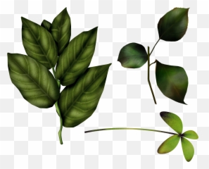 Green Leaves Png Image - Baby Winnie The Pooh 2949x2382 Baby Winnie The Pooh,Pooh Png