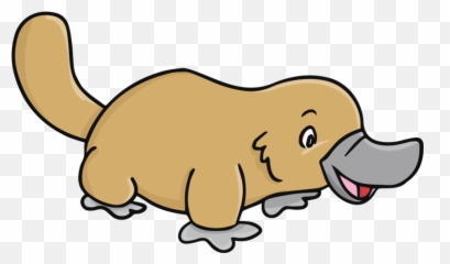 Cute Platypus - Clip Art Library Platypus Clipart png