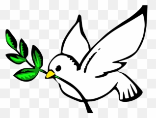Clip Art Dove Clipart For Free Download - Kalapati Clipart Png,Dove Transparent