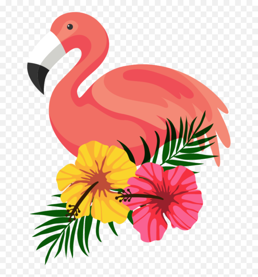 Fwshct50 Flamingo With Santa Hat Clipart Transparent Today - Flamingo Png,Flamingo Transparent Background