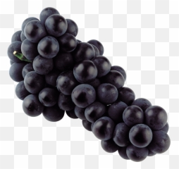 Grape Png Image Free Picture Download - Transparent