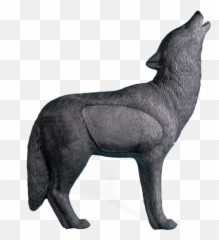 Grey Wolf Transparent Background - White Png