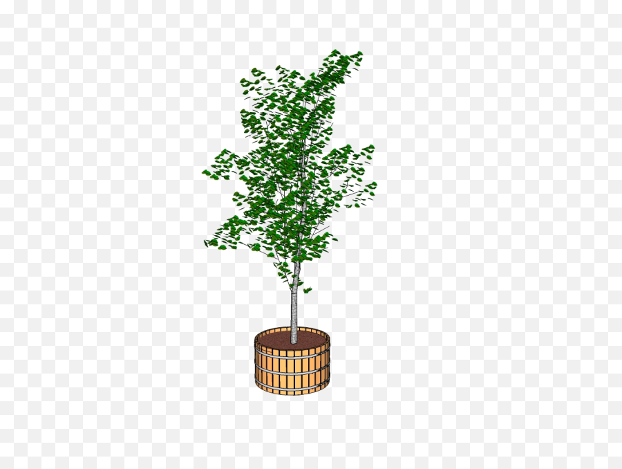 Large Wooden Planter - Small Tree Png With Tub,Tub Png