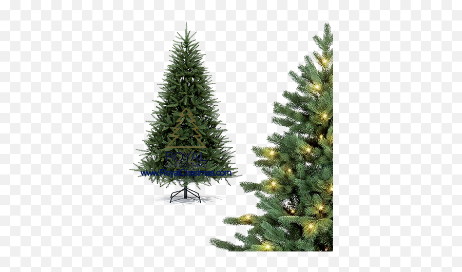 Royal Christmas - Premium Line Artificial Christmas Trees Png,Christmas Ornament Png