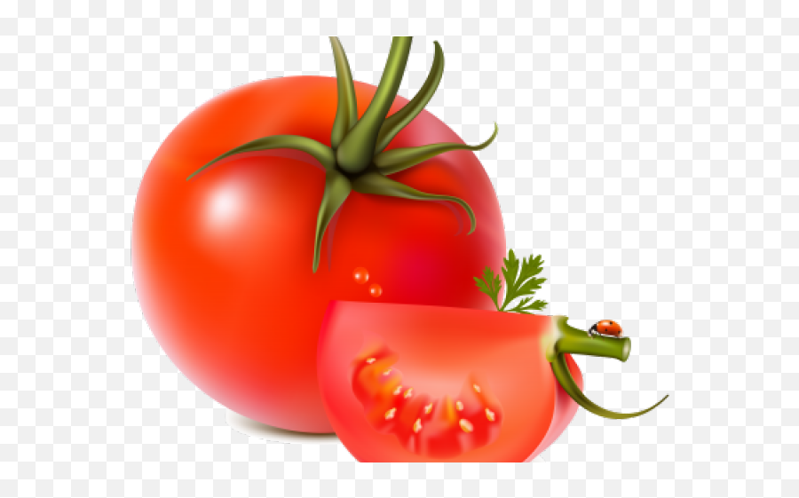 Tomato Clipart Clear Background - Tomato Vegetables Png,Tomato Slice Png