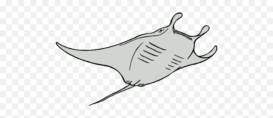 Devil Ray Clipart - Sting Ray Clipart Black And White Png,Manta Ray Png