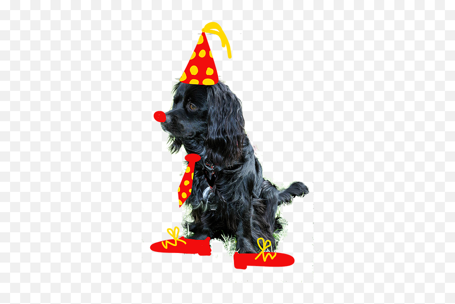 Donate Furry Fiesta Pets - Cocker Spaniel Png,Ff Logo