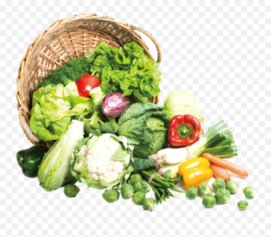 Download Read More - Vegetables Png Png Image With No Vegetables Images Free Download,Vegetables Png