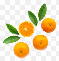 The Good Earth Guide To Winter Citrus - Good Earth Natural Foods Blood Orange Png,Citrus Png