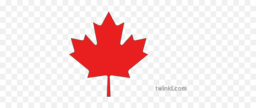 Maple Leaf Illustration - Canada Flag Png,Canadian Maple Leaf Png